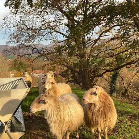 Apartamento Aguilera 2 à 4 Pers Biarritz