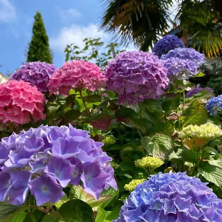 Aguilera 2 A 4 Pers *