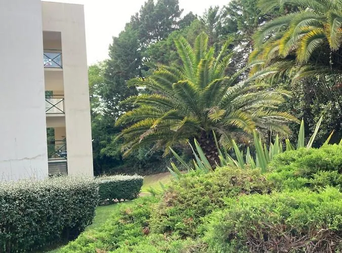 Aguilera 2 à 4 Pers Appartement Biarritz