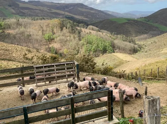 Aguilera 2 à 4 Pers *