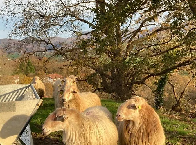 Appartement Aguilera 2 à 4 Pers Biarritz