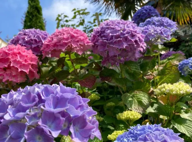 Aguilera 2 à 4 Pers *